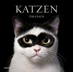 Katzen