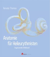 Anatomie f&uuml;r Heileurythmisten