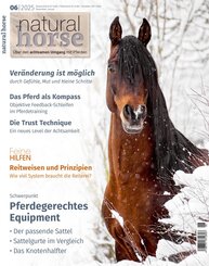 Natural Horse 60