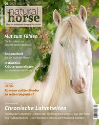 Natural Horse 62