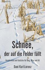 Schnee, der auf die Felder f&auml;llt
