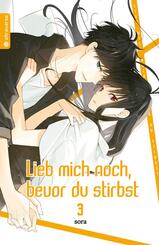 Lieb mich noch, bevor du stirbst.Bd.3