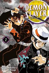 Demon Slayer 2.Bd.2