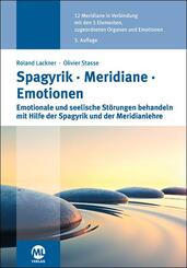 Spagyrik Meridiane Emotionen