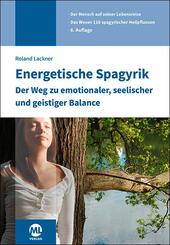 Energetische Spagyrik