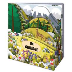 Tr&ouml;tsch Fensterbuch Im Gebirge