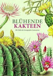 Bl&uuml;hende Kakteen