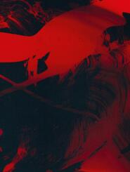Mirror - Collaborative Pictures by Merrick d'Arcy Irvine x Julia Bajanova