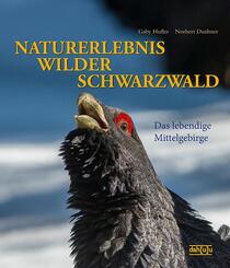 Naturerlebnis wilder Schwarzwald