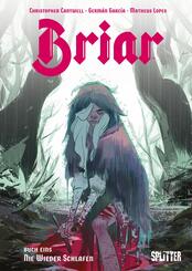 Briar - die Legende von Dornr&ouml;schen. Band 1