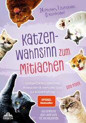 Katzen-Wahnsinn zum Mitlachen