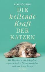 Die heilende Kraft der Katzen