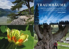 Traumb&auml;ume